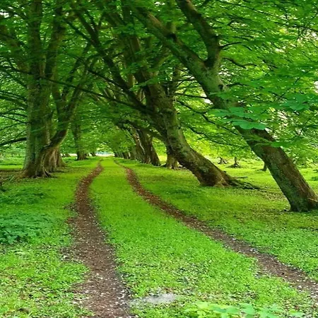 Modernes Mit Terrasse Auf Ruegen Wiek auf Ruegen