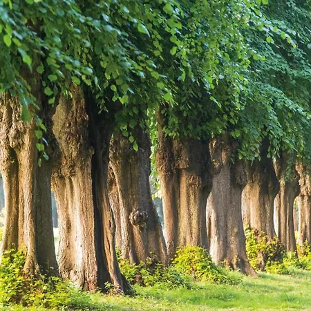 Apartment Modernes Mit Terrasse Auf Ruegen Wiek auf Ruegen